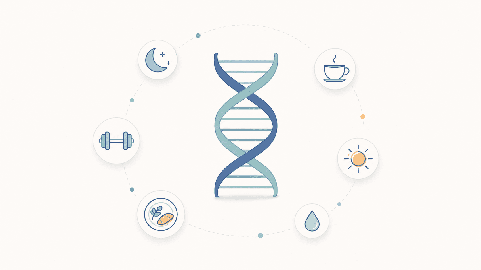 Editorial illustration of a central DNA helix surrounded by lifestyle icons — sleep, caffeine, exercise, vitamin D, food, hydration