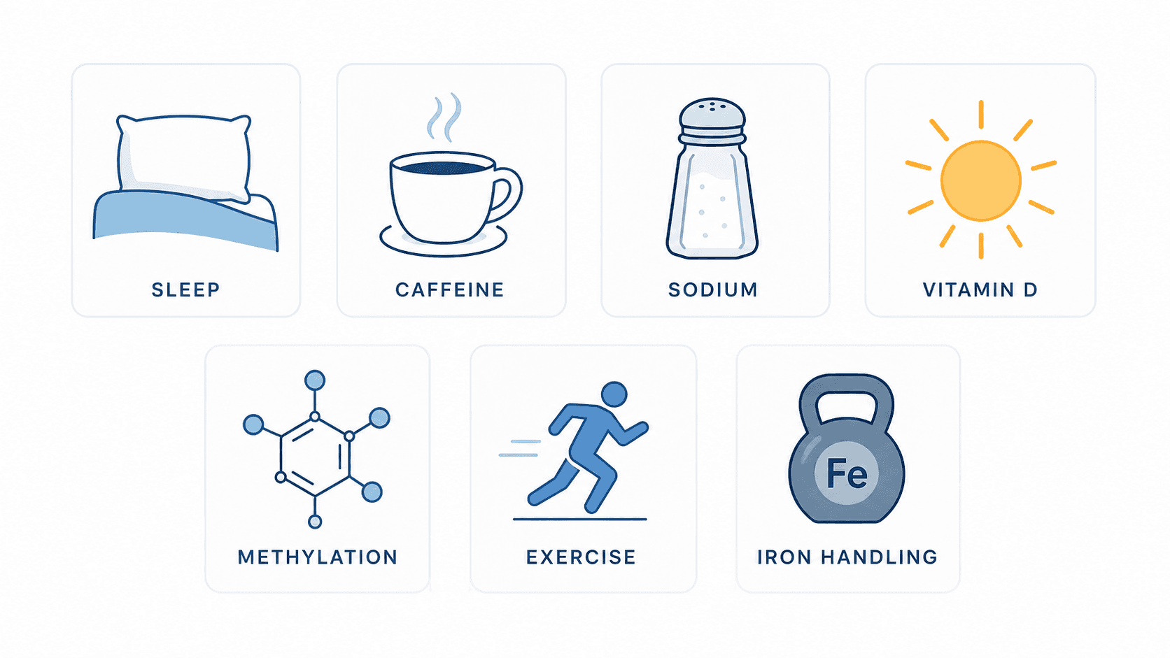 Seven lifestyle SNP categories and example recommendation changes