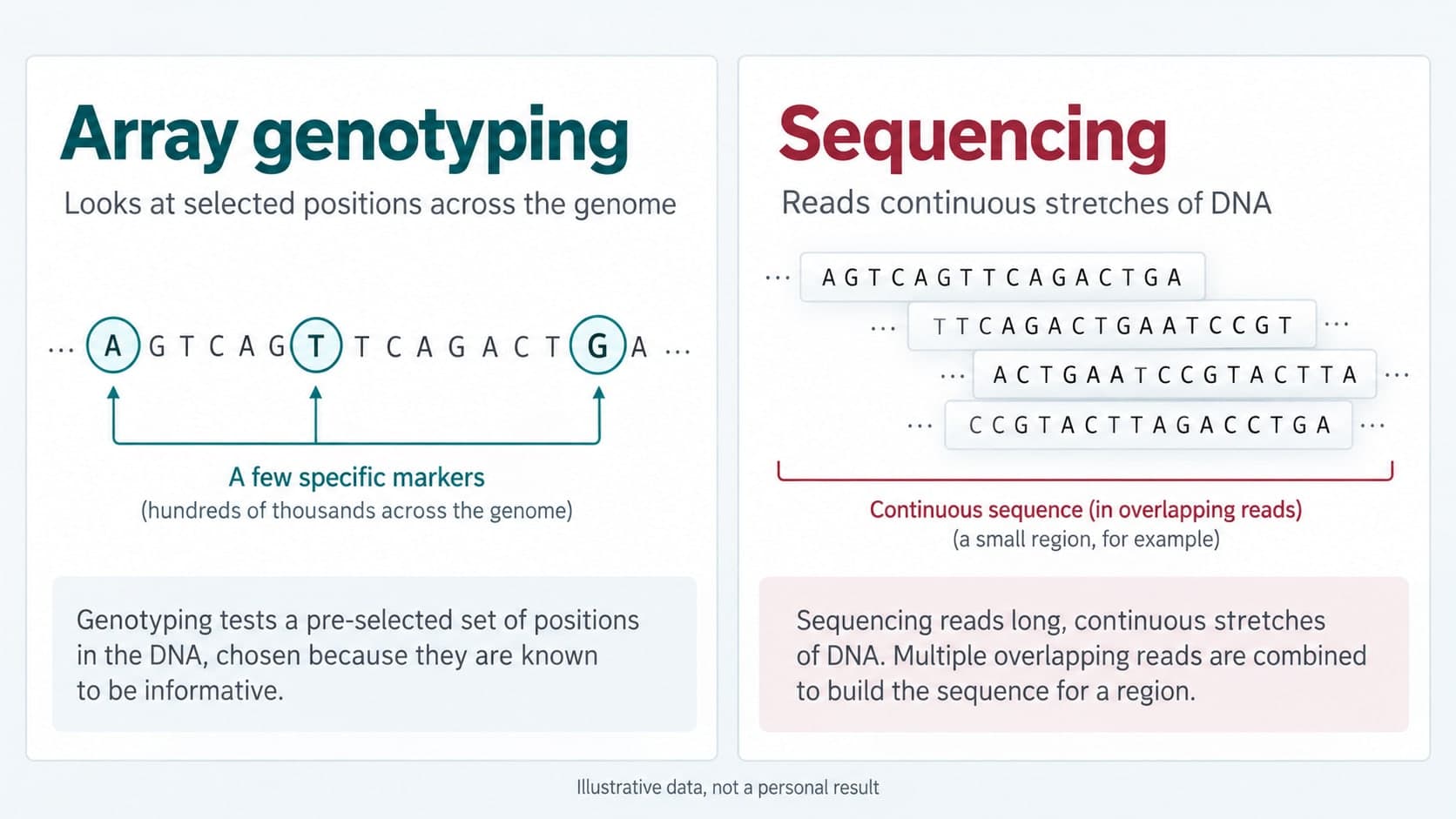 Illustrative selected marker positions beside overlapping sequence reads, with neither shown as a personal result.