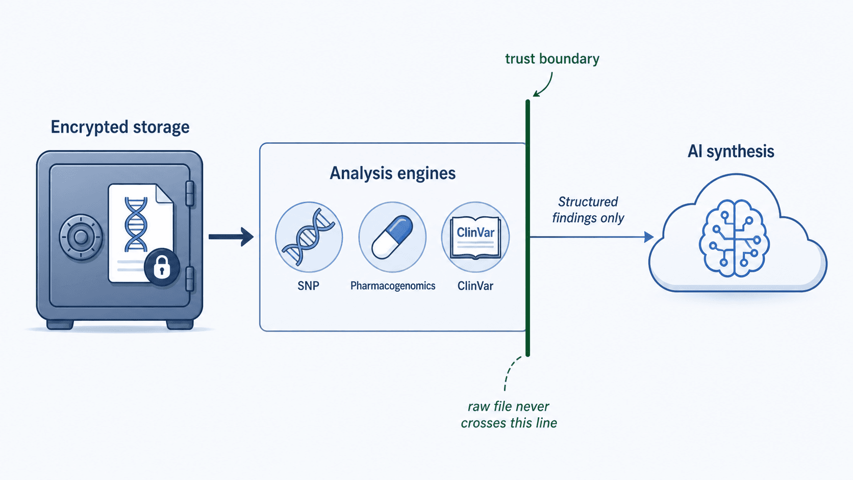 Data flow showing only structured findings sent to AI, raw file stays in encrypted storage