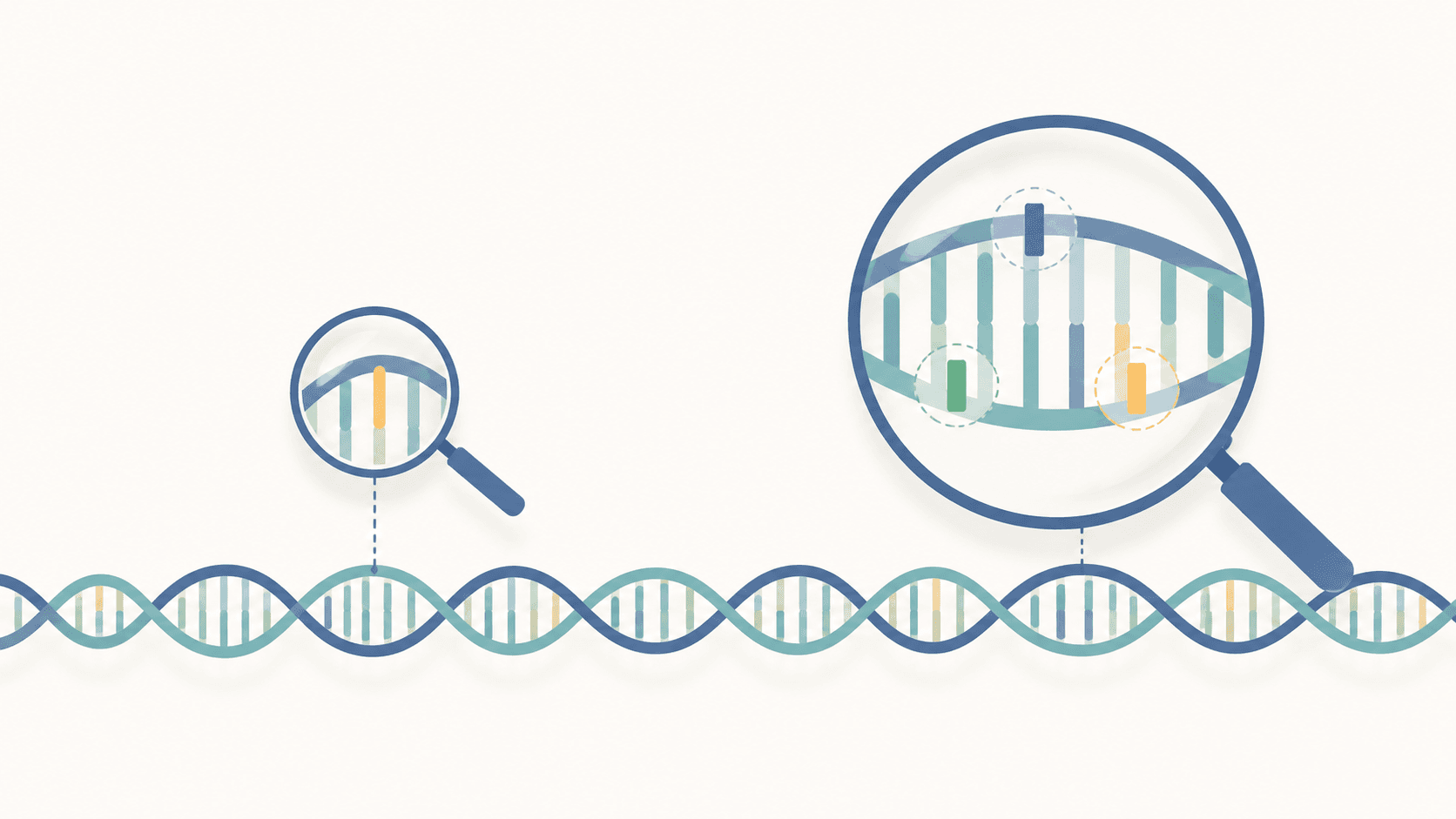 Editorial illustration of a DNA strand with two magnifying glasses showing the difference between curated and full-coverage analysis