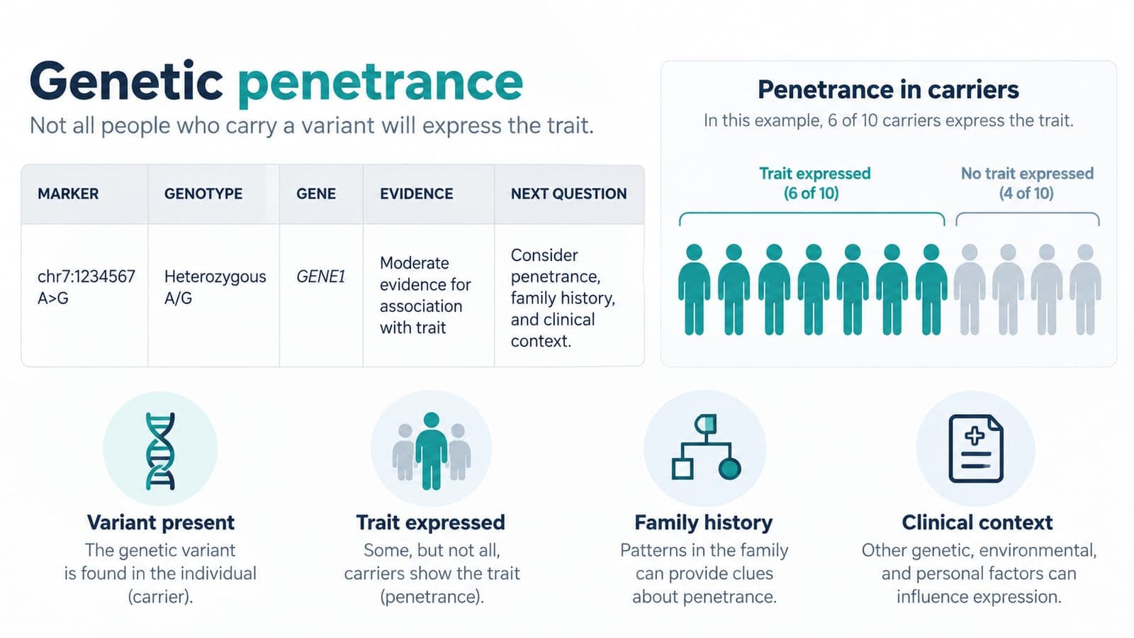 Fictional raw DNA row beside a penetrance diagram showing some carriers expressing a trait and others not