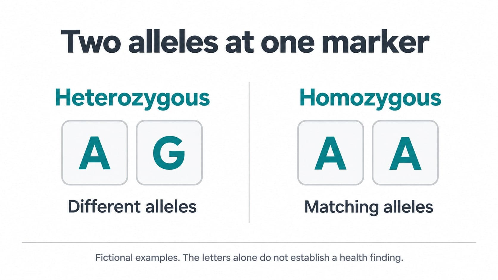 Fictional A and G alleles labeled heterozygous beside matching A and A alleles labeled homozygous.